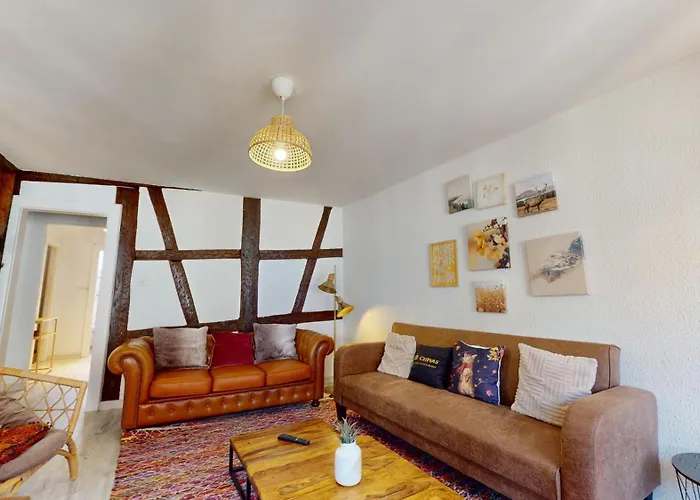 Appartement Le Petit Chez Vous Colmar